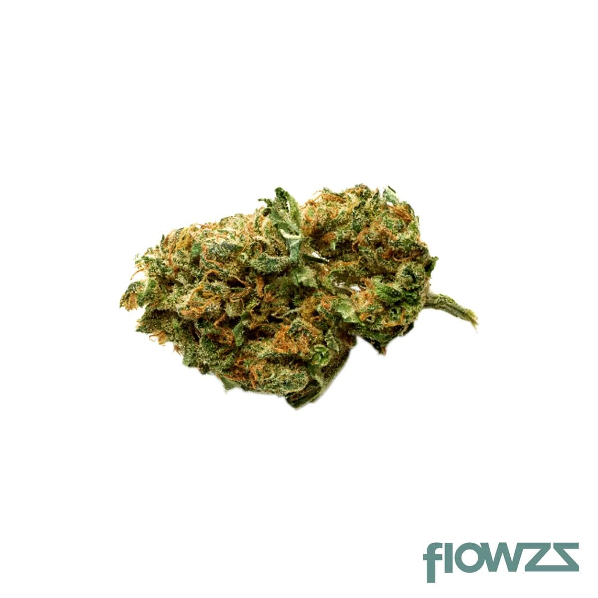 CannabiStada 14/1