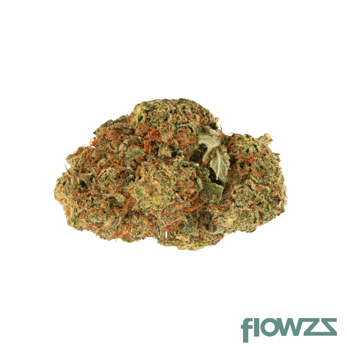 pedanios-24-1-lac-ca-la-confidential