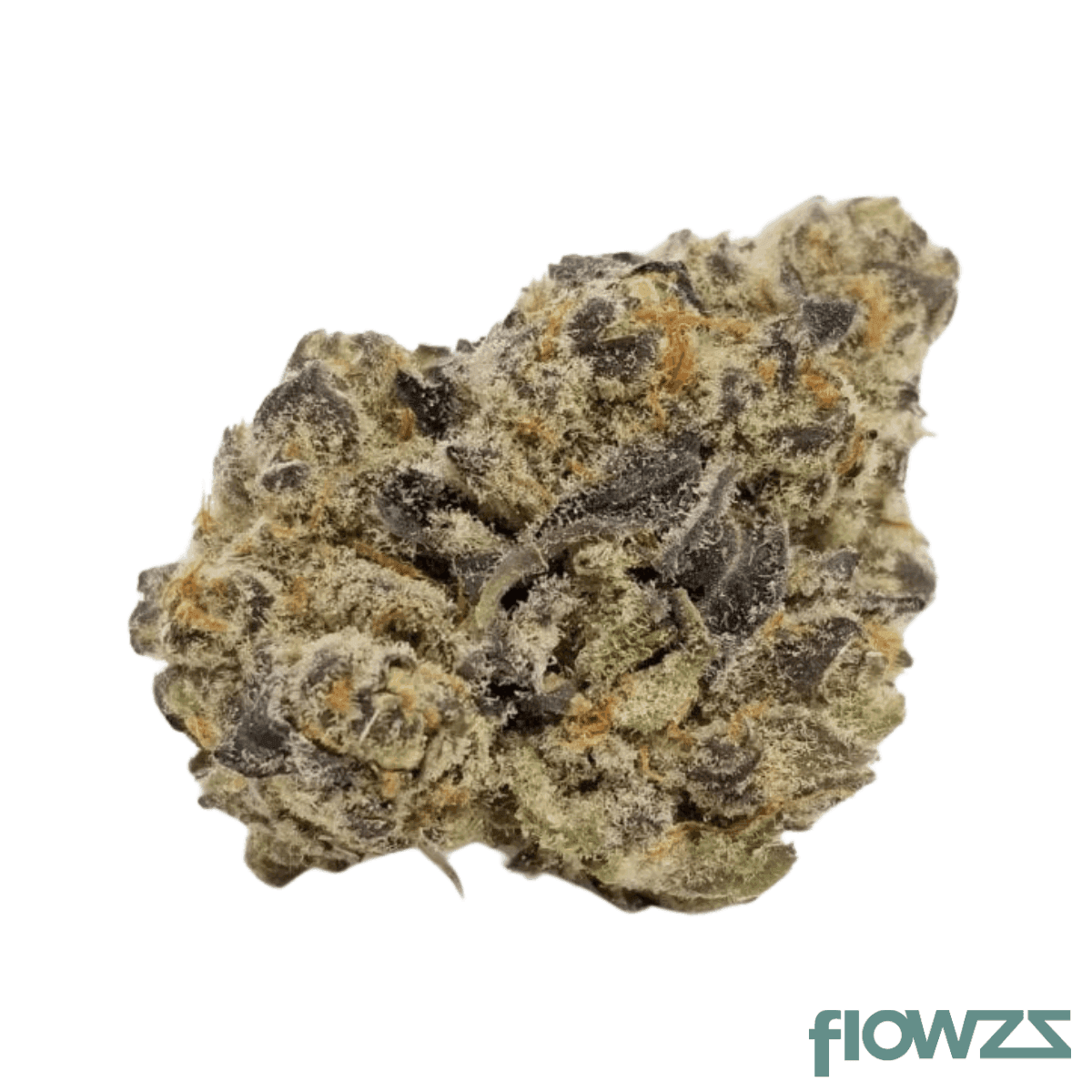 Nedcann AH 20/01 Mimosa #8