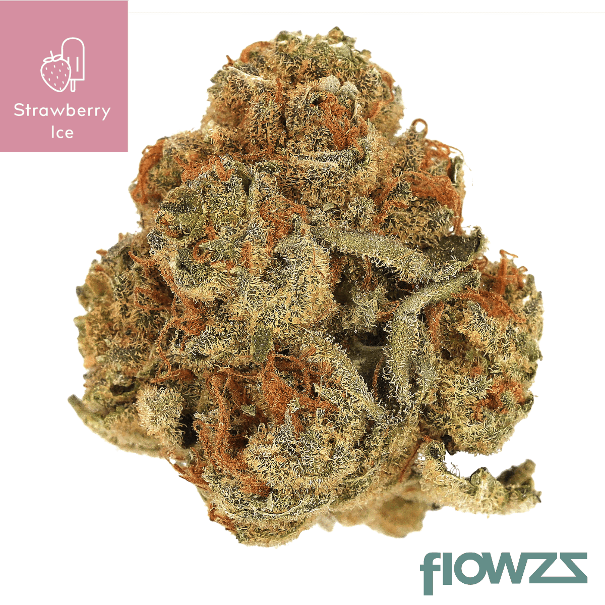 cannamedical-sativa-forte-strawberry-ice-strawberry-ice-g1