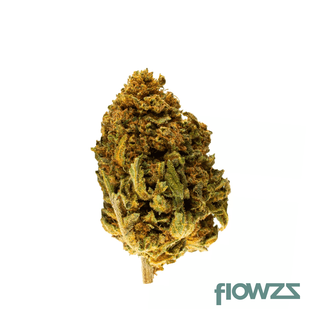 hycann-kco-27-1-ca-kush-cookies
