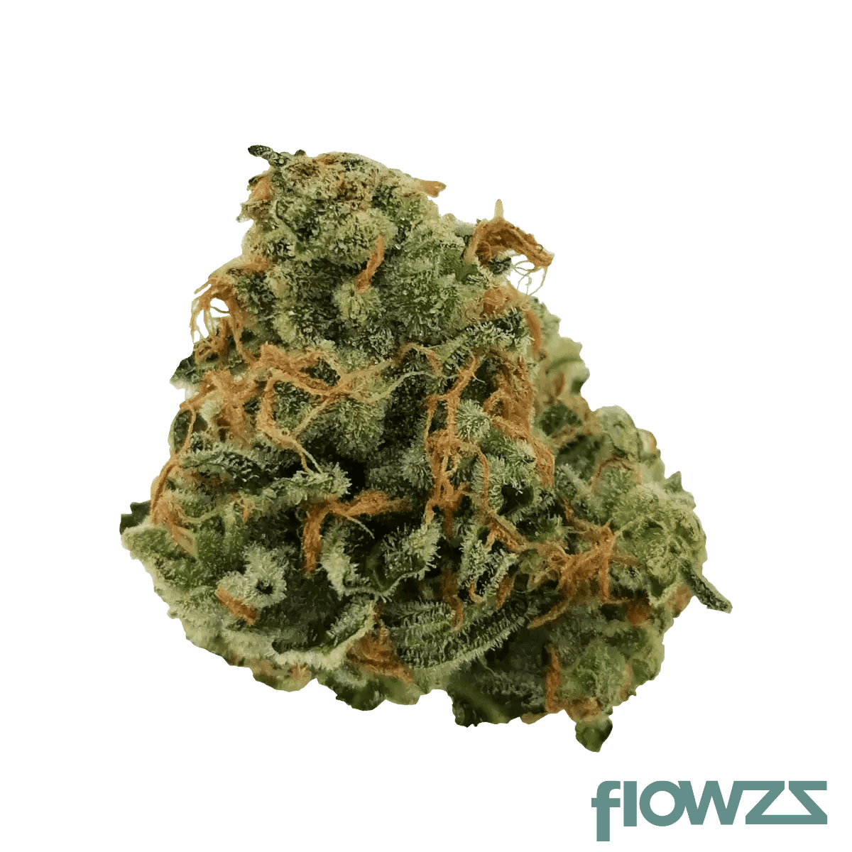 karels-haze-flower
