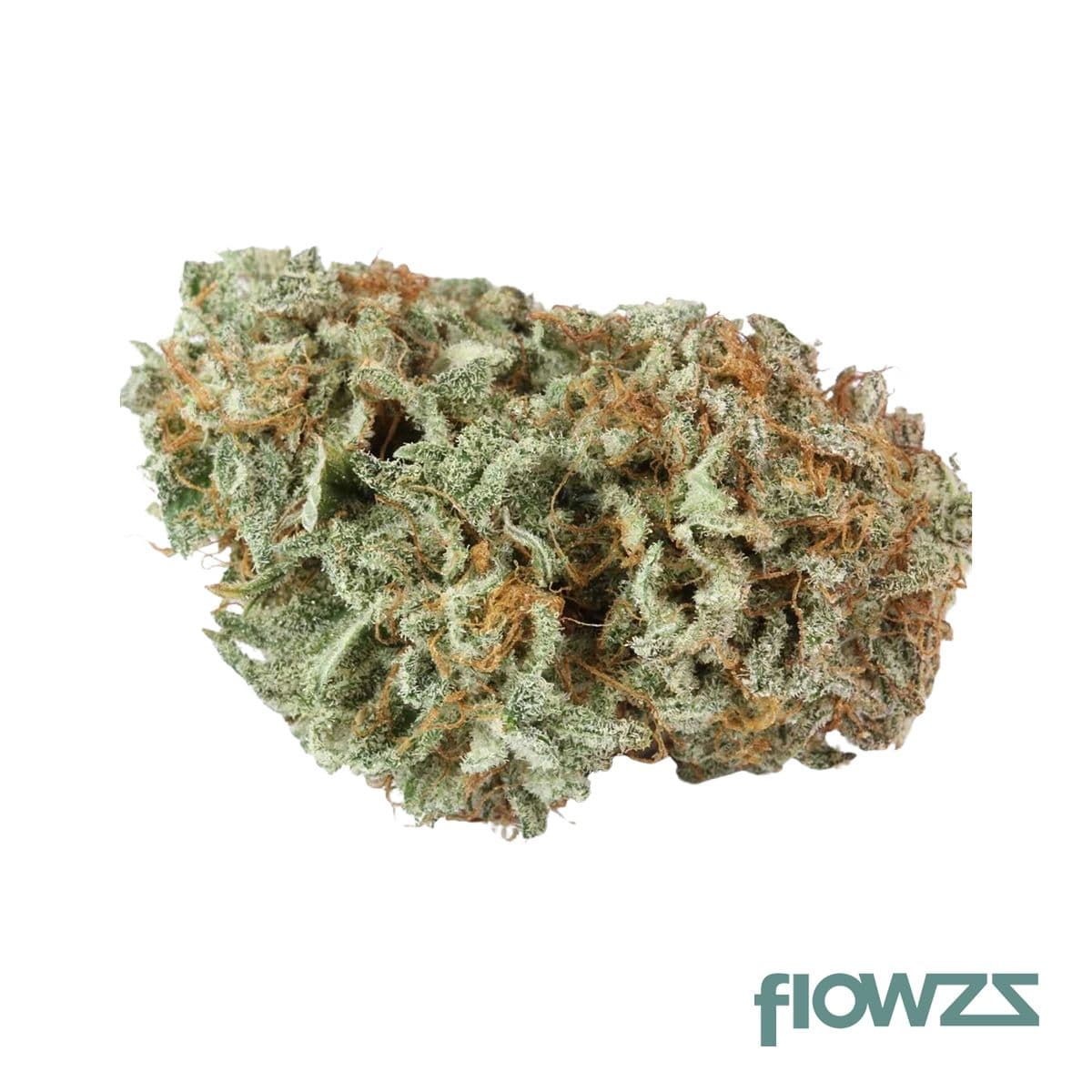 Cannamedical Indica Classic PT Master Kush