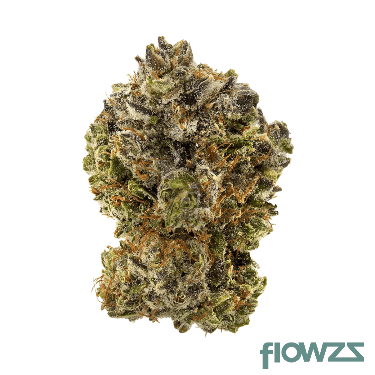 cocoa-bomba-flower