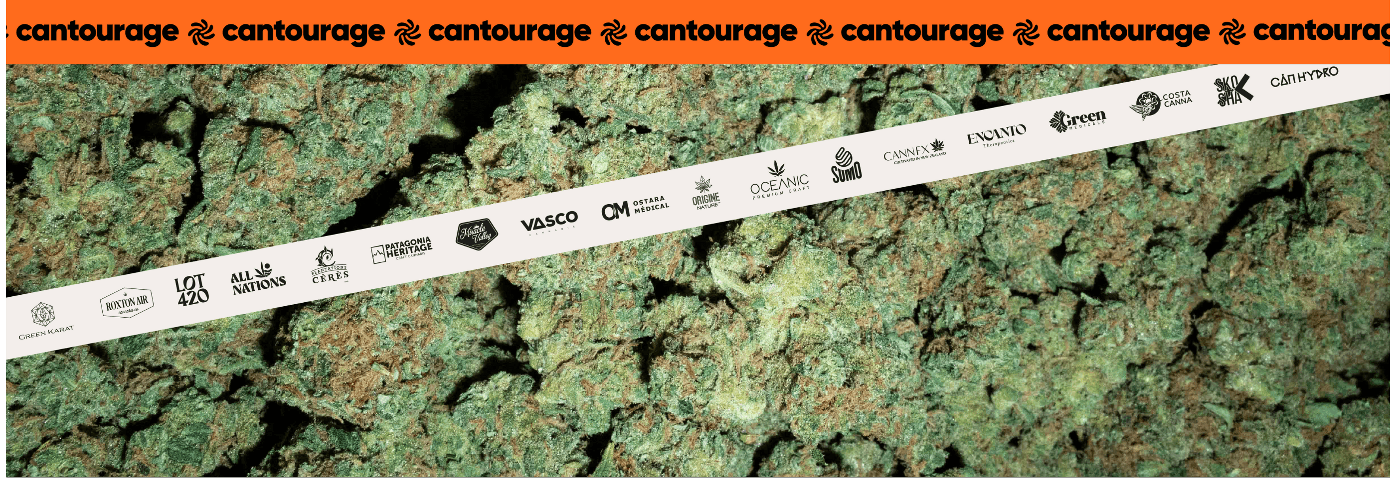 Cantourage desktop banner