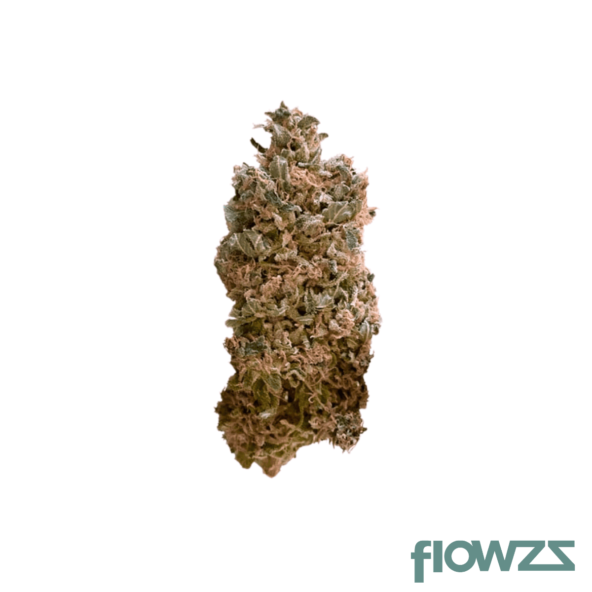 mccn-no-2-skywalker