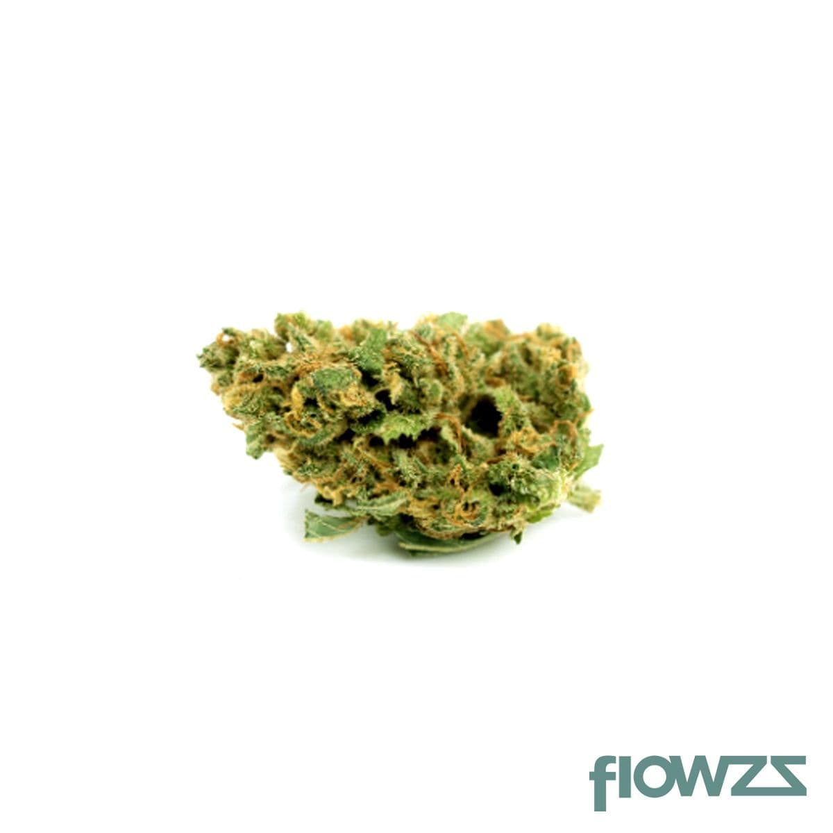 social-choice-14-1-mps-ww-white-widow