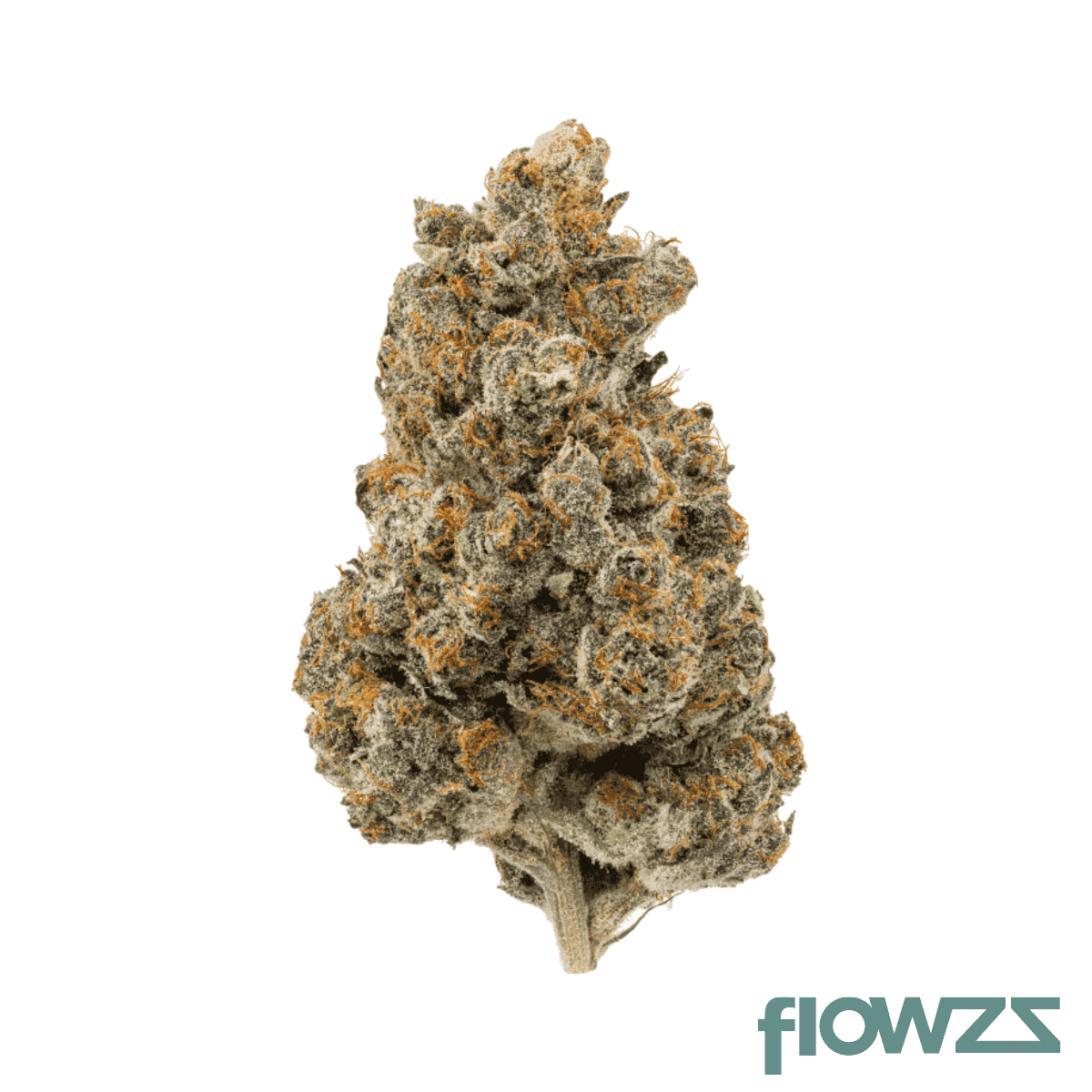 thc-akut-22-rs11-rainbow-sherbert