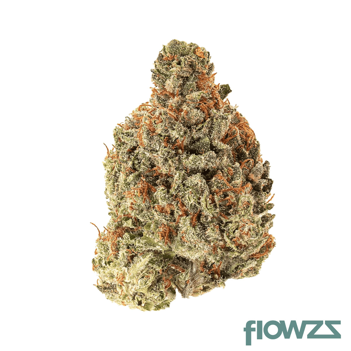 imc-ccs-thc22-crescendo