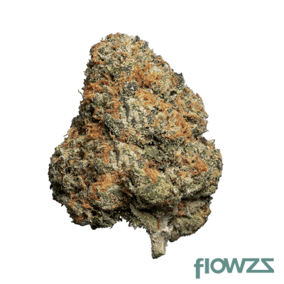 enua-22-1-jfg-ca-jet-fuel-gelato