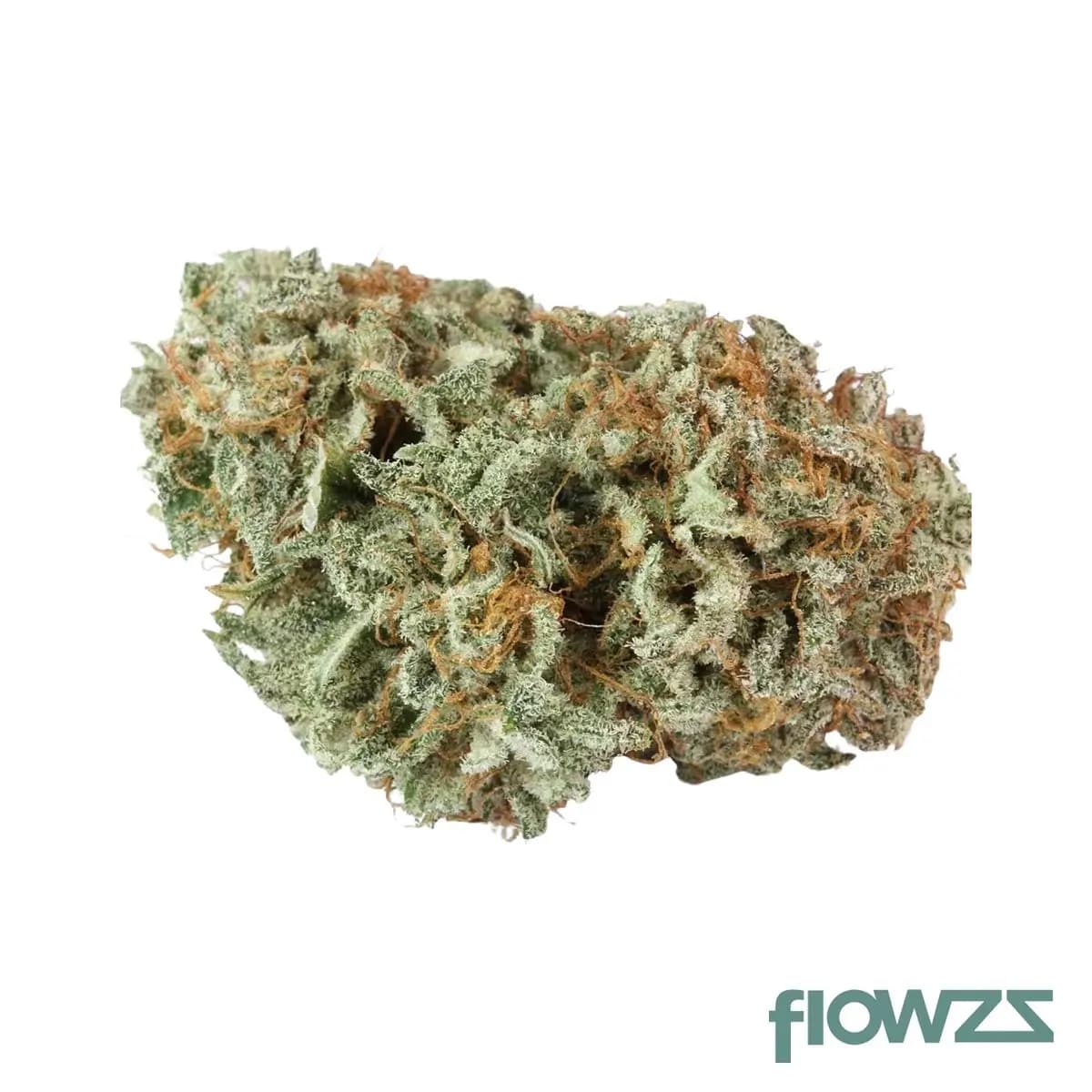 Cannabis flos 22/1 PT Master Kush Cannabisblüte Canify - flowzz.com Preisvergleich 