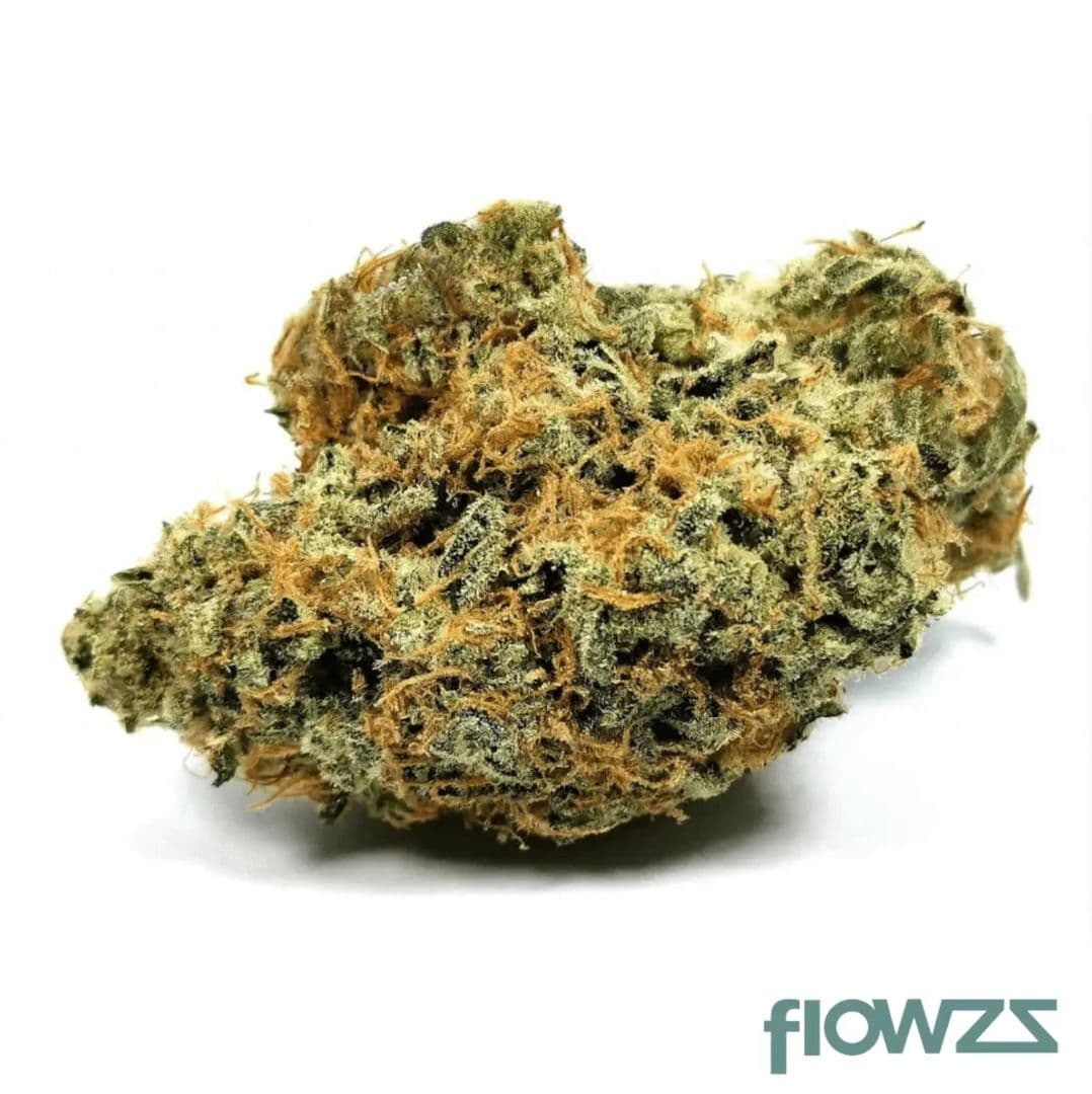 PharmCann Silver THC22 Cannabisblüte Strain La S.A.G.E - flowzz.com Preisvergleich 