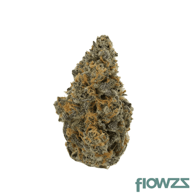 demecan-core-jm7-28-1-jelly-mints
