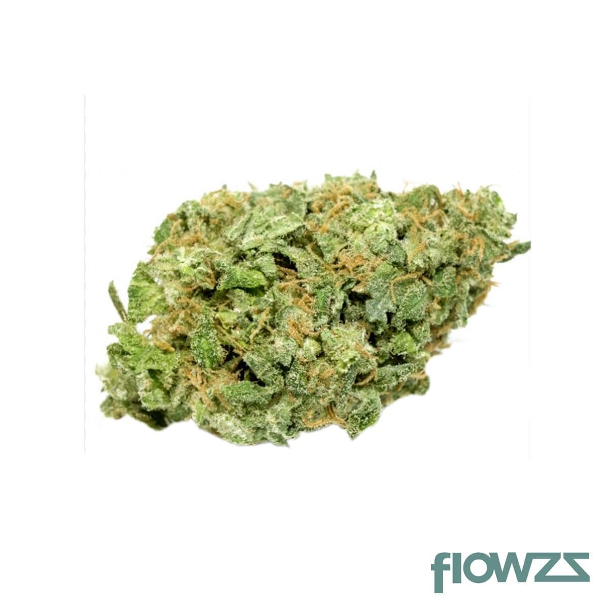 Cannabis 1A 16/1 White Widow zum besten Preis