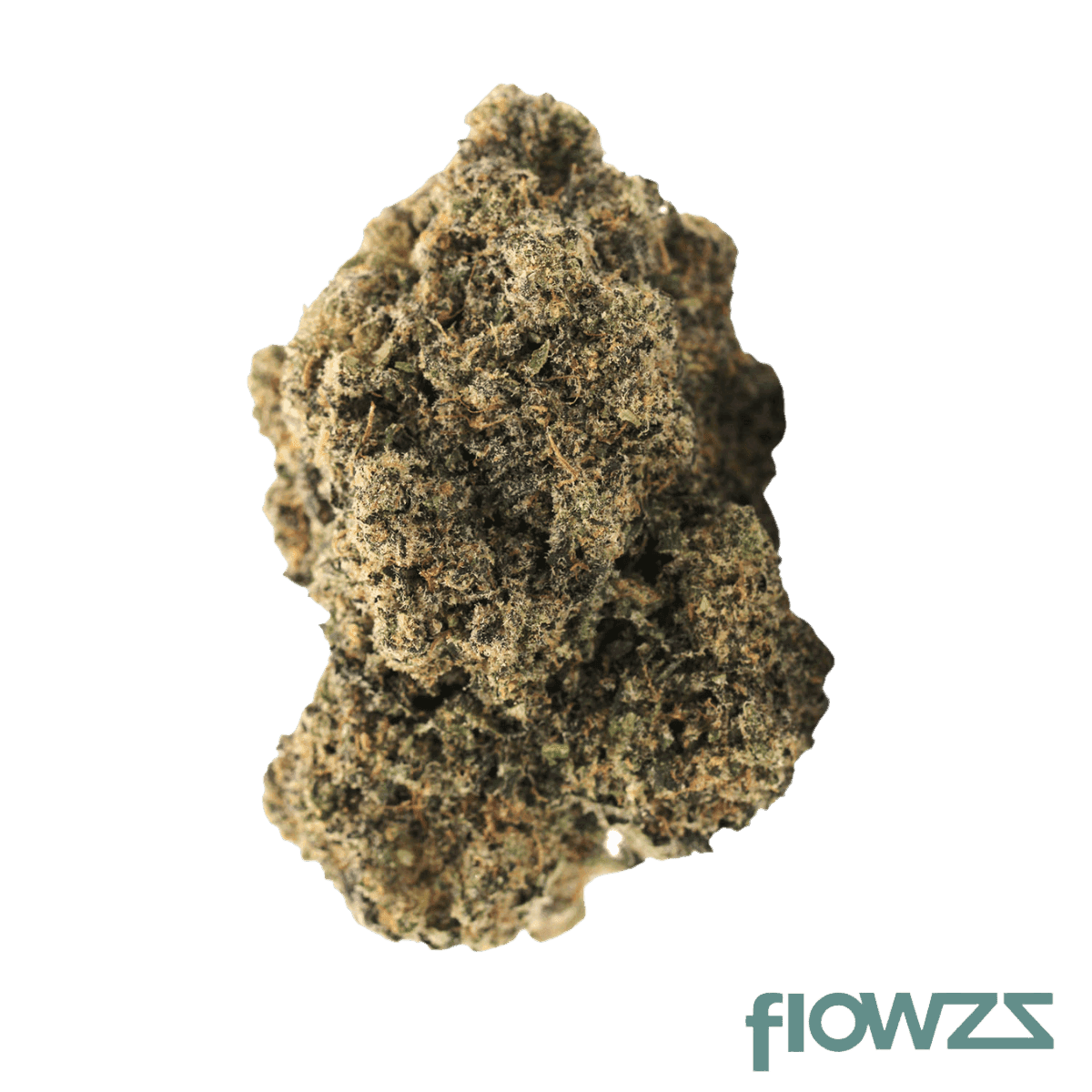 Ostara Solar 24/1 Cannabisblüte Bubblegum Biscotti x Grape Gasoline - flowzz.com