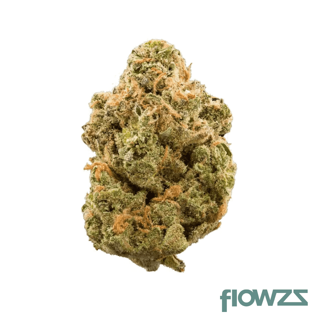 tilray-thc22-spotlight-porto-biscuit-rntz