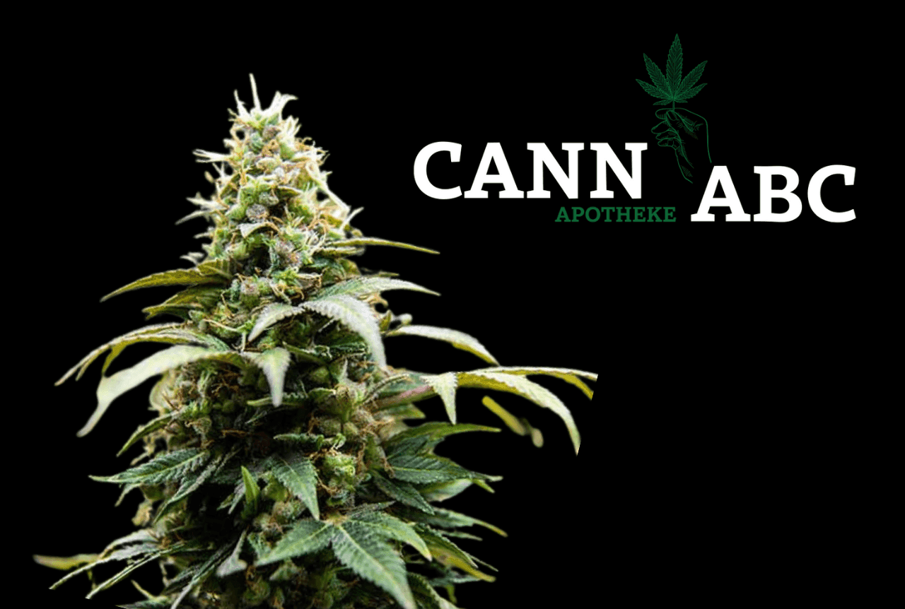 CannABC-cannabis-apotheke-wuppertal