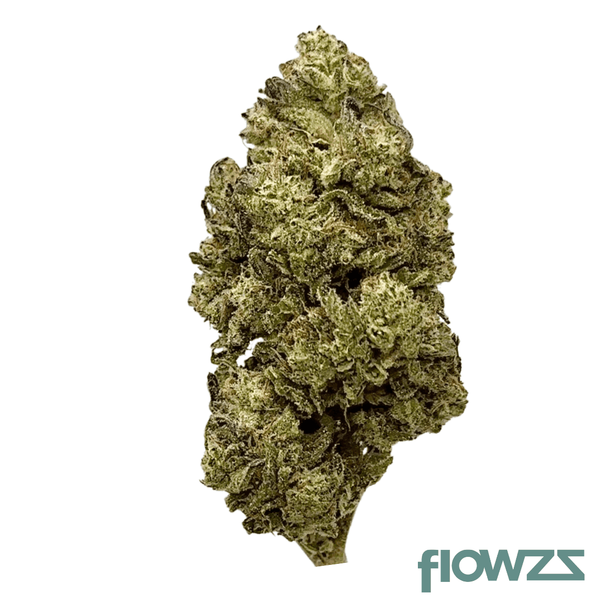 avaay-signature-23-1-byy-blueberry-yum-yum