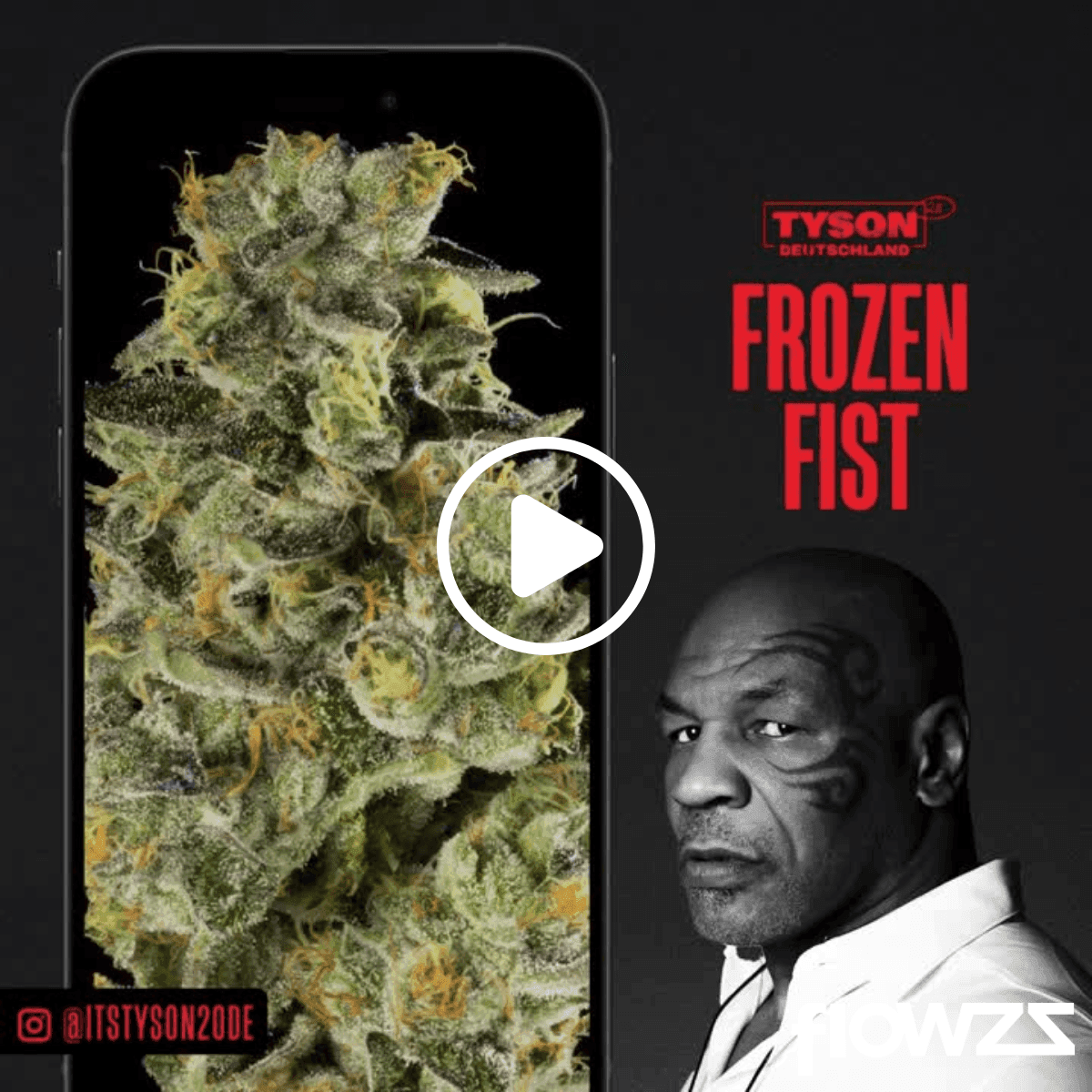 frozen fist