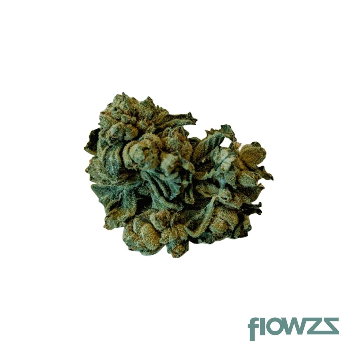 Canify Cannabis Flos 22/1 PT Sirius