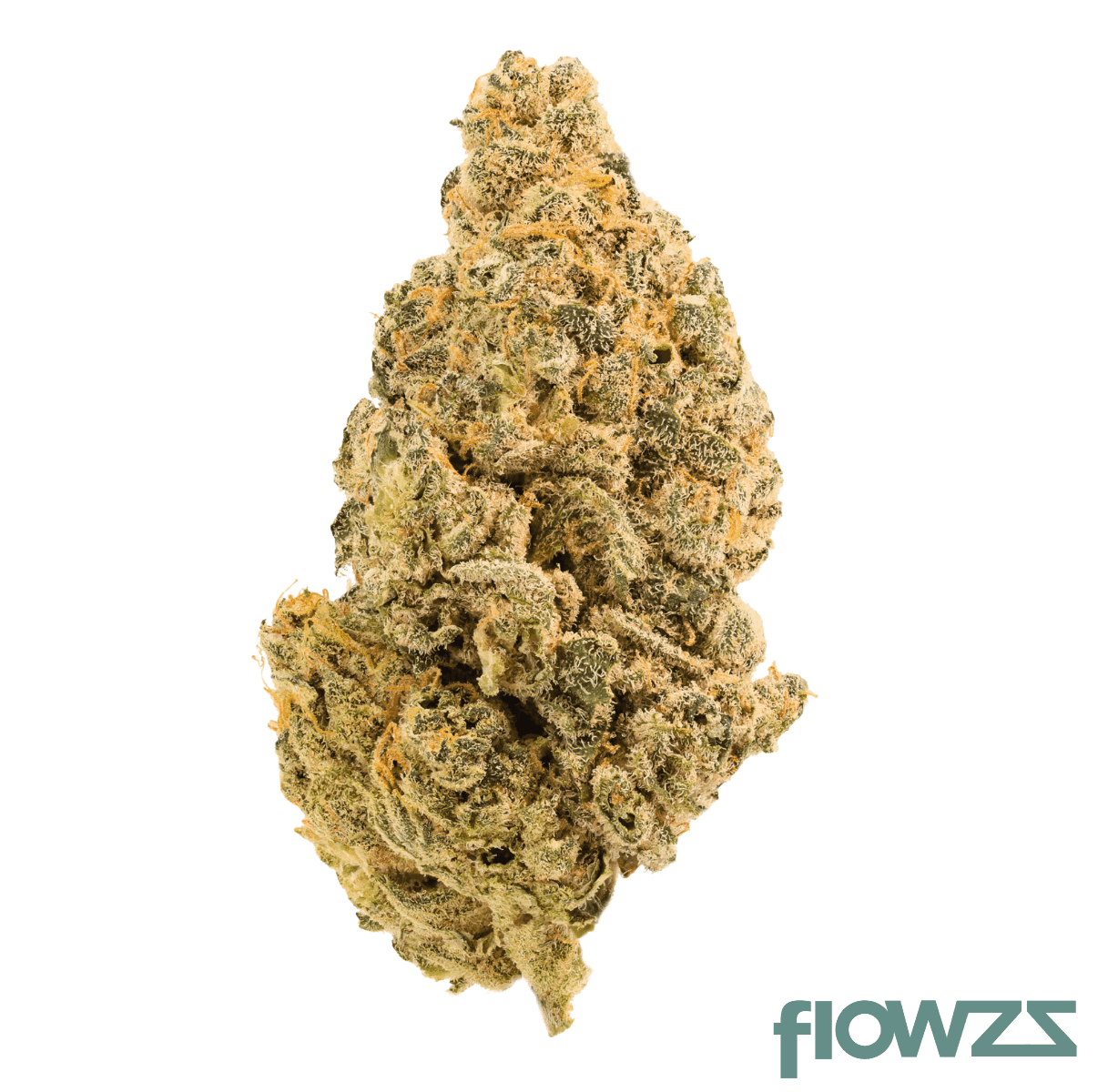hi-society-bcc-28-1-blueberry-cheesecake