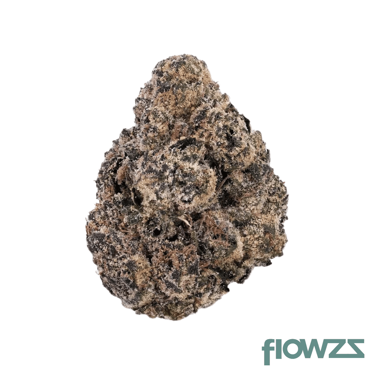 cookies-26-1-gp-georgia-pie