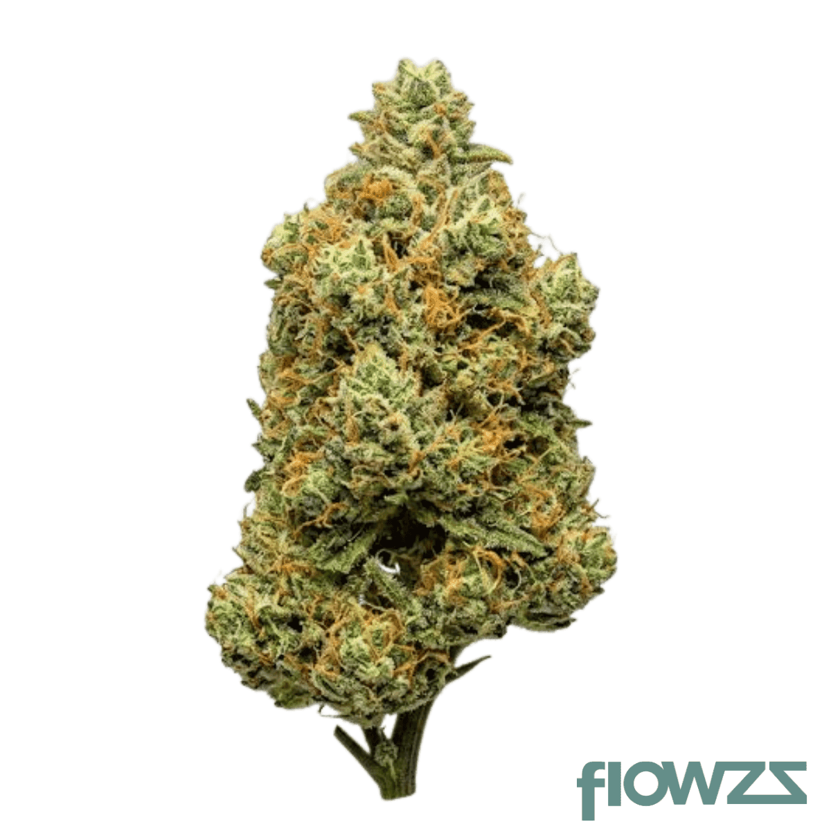 enua-22-1-sbb-ca-strawberry-banana-bang