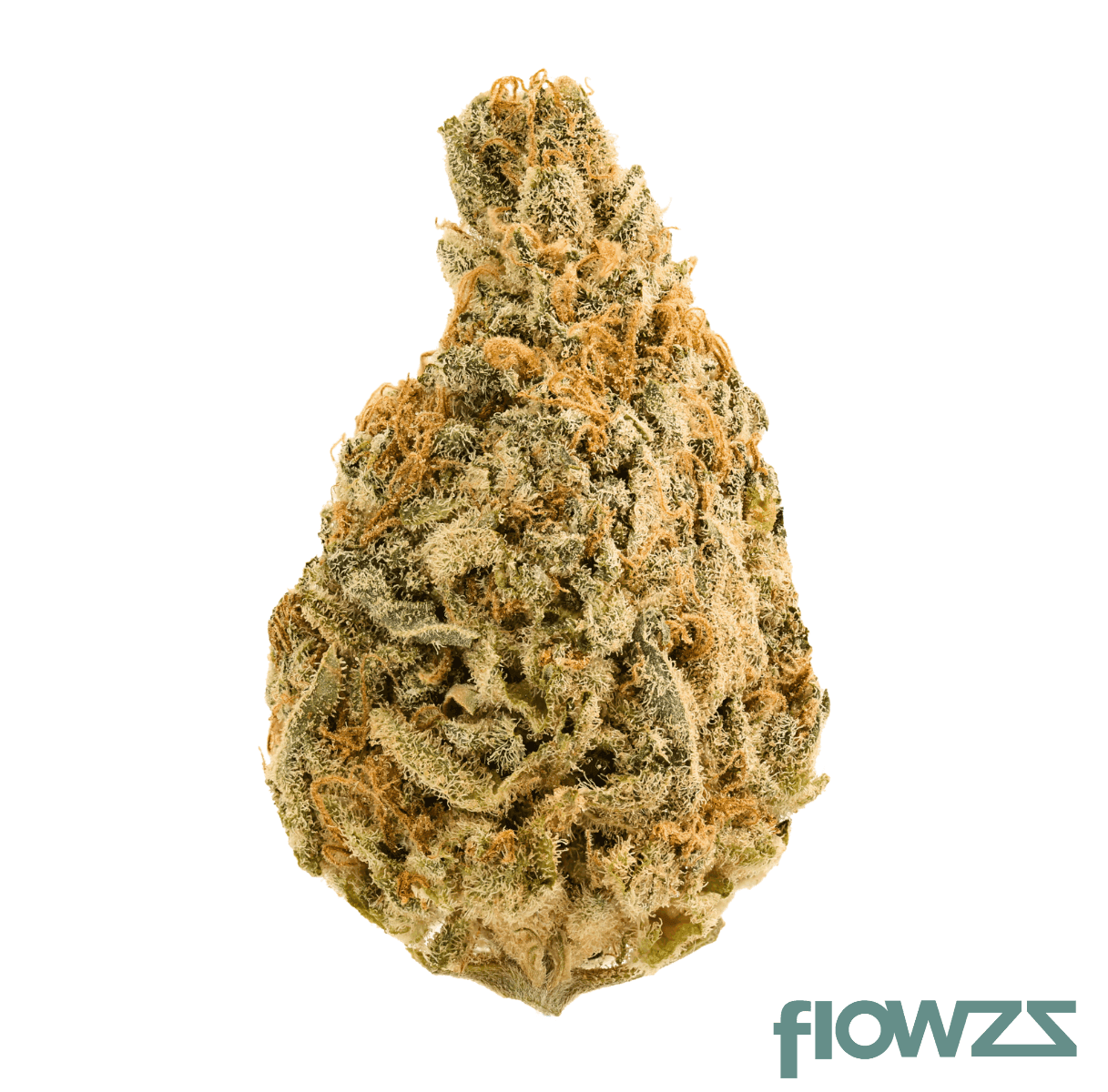 hi-society-gp-31-1-grape-pie