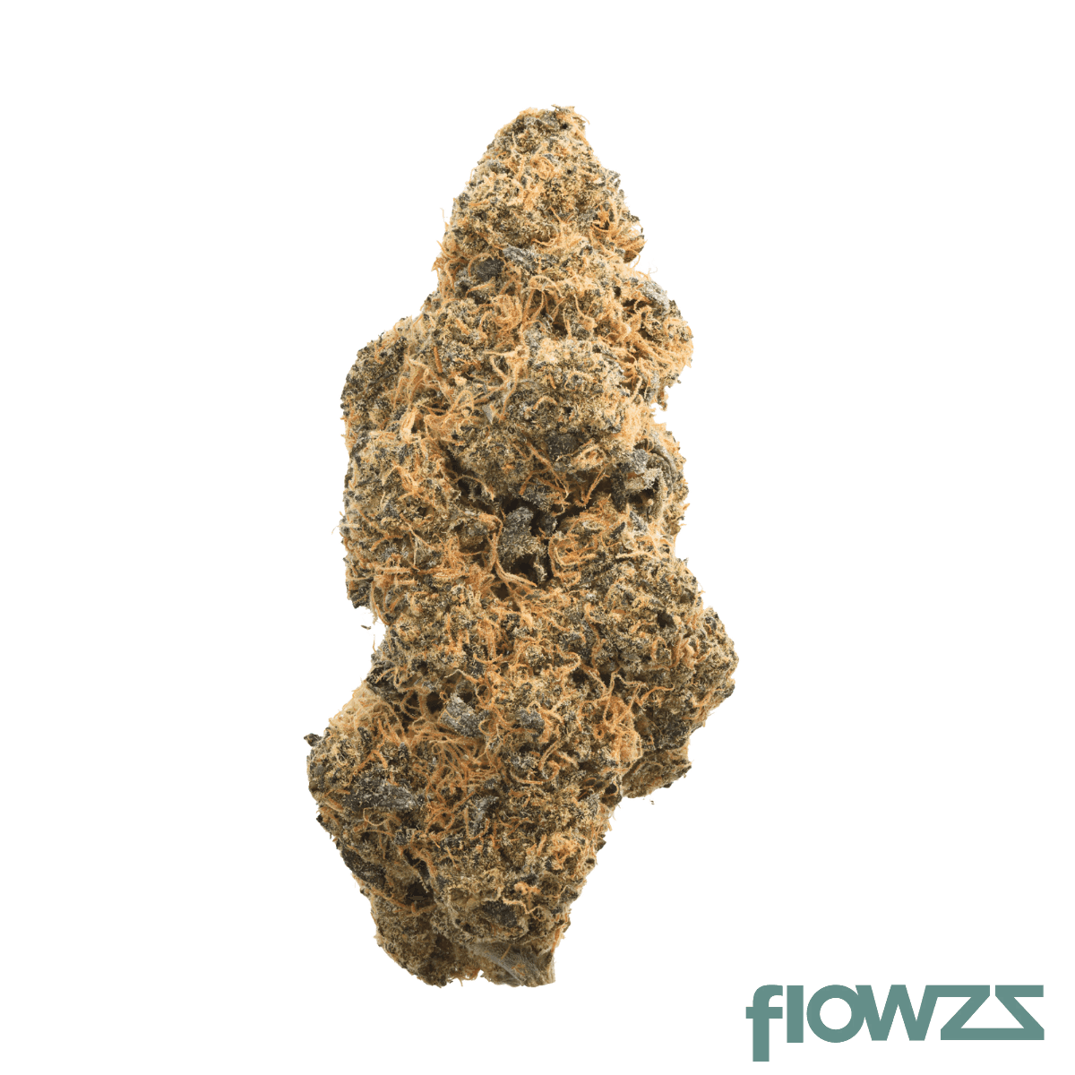hi-society-ssh-30-1-sunset-sherbet