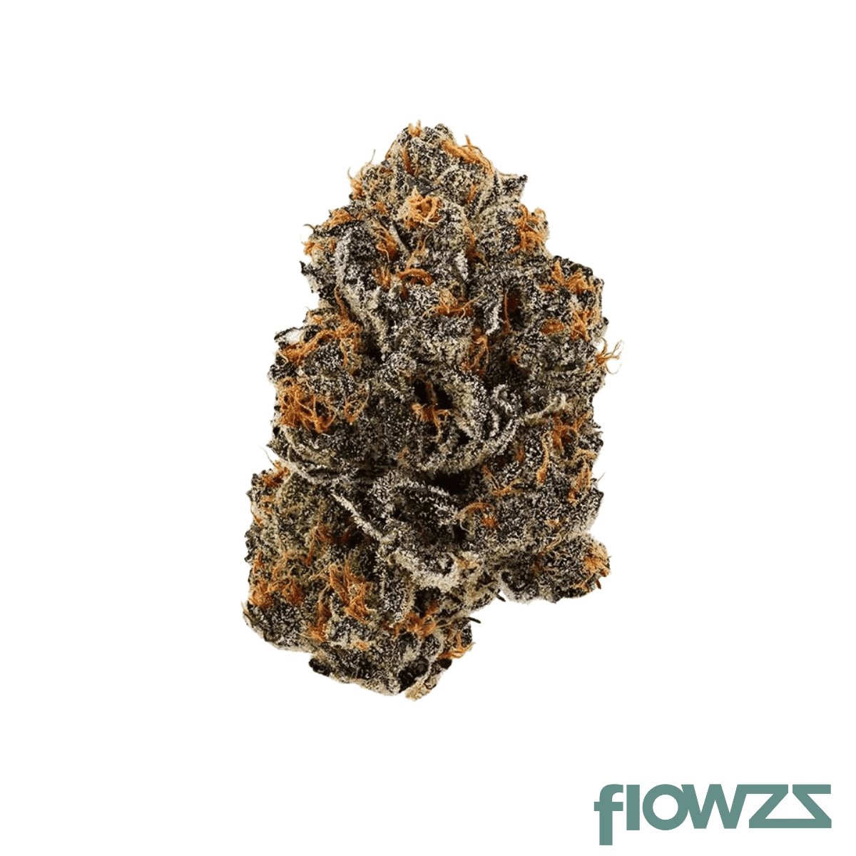 skypilot-gg-27-1-grape-galena