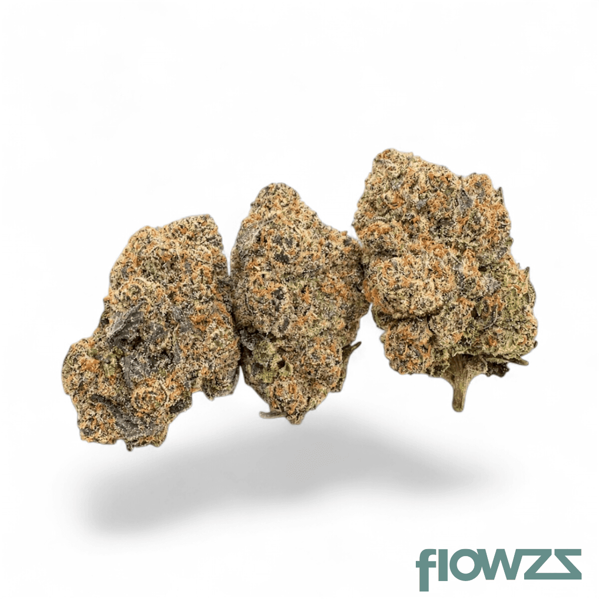 Budza 24/1 WRZ White Runtz
