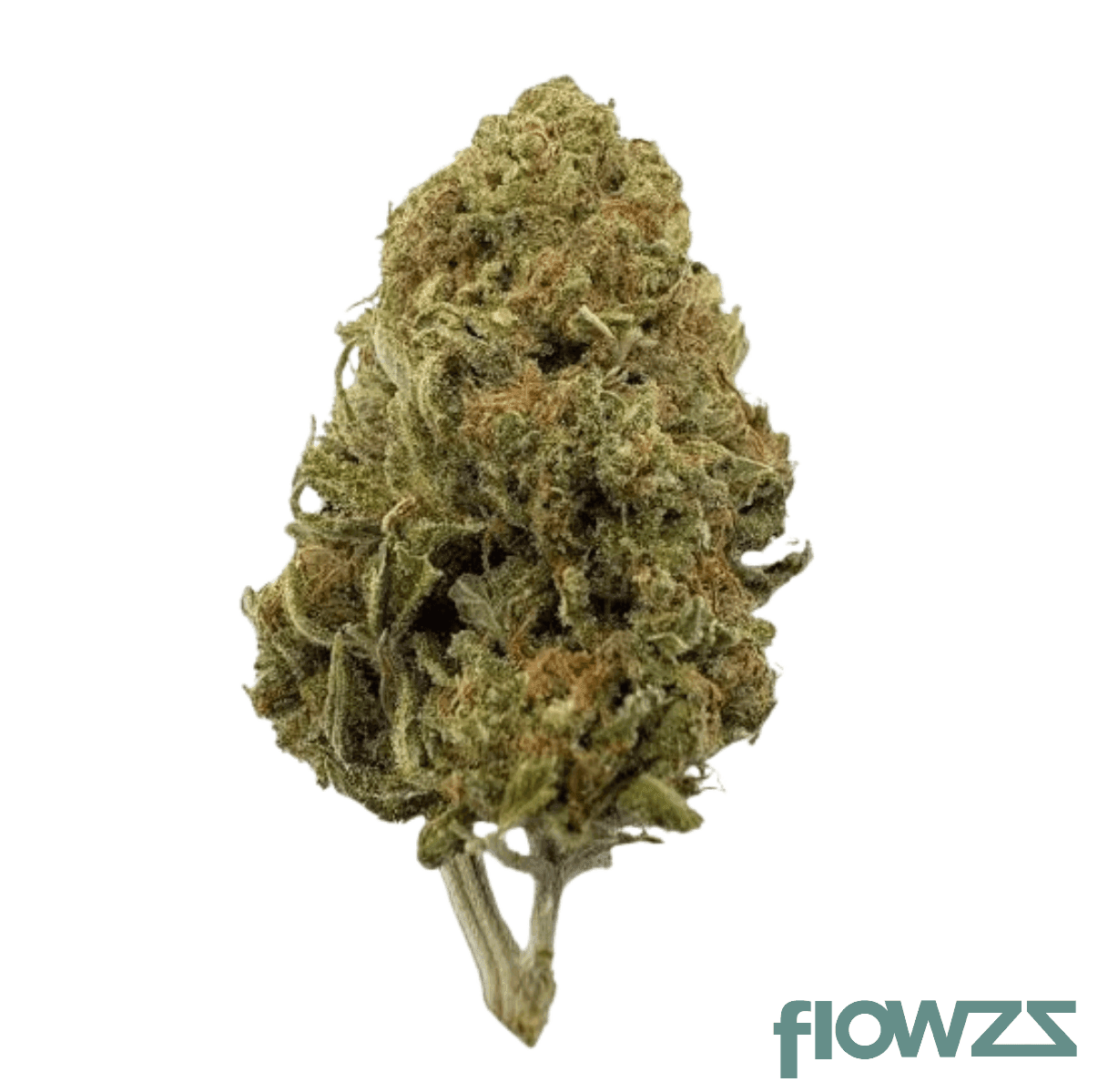 truu-cg-32-01-tangie-glue