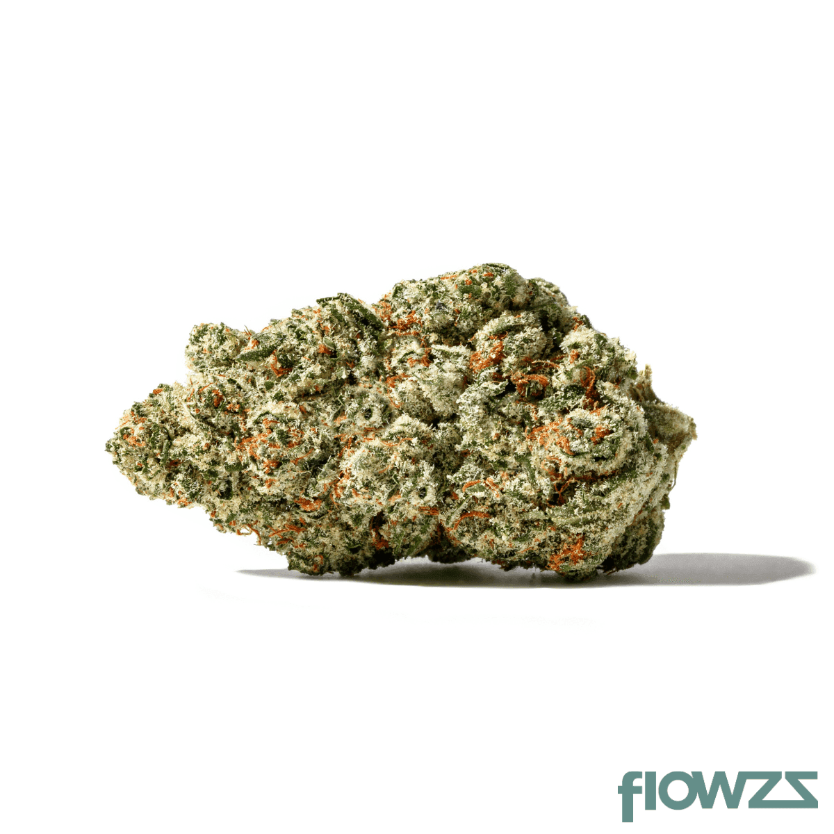 zoiks-26-1-sr-space-rider