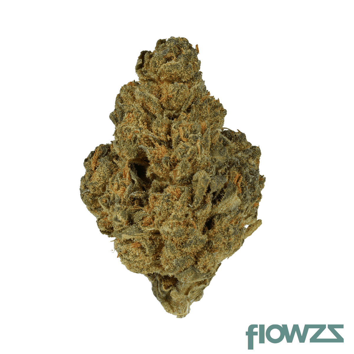canthera-budget-21-1-bba-bruce-banner