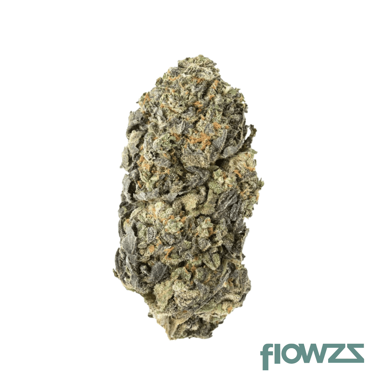 nice-22-1-bcc-blueberry-cheesecake