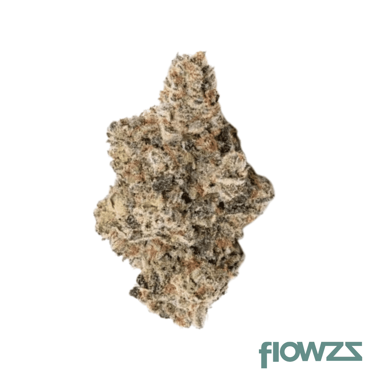 pop-up-no34-thc-rich-tr1