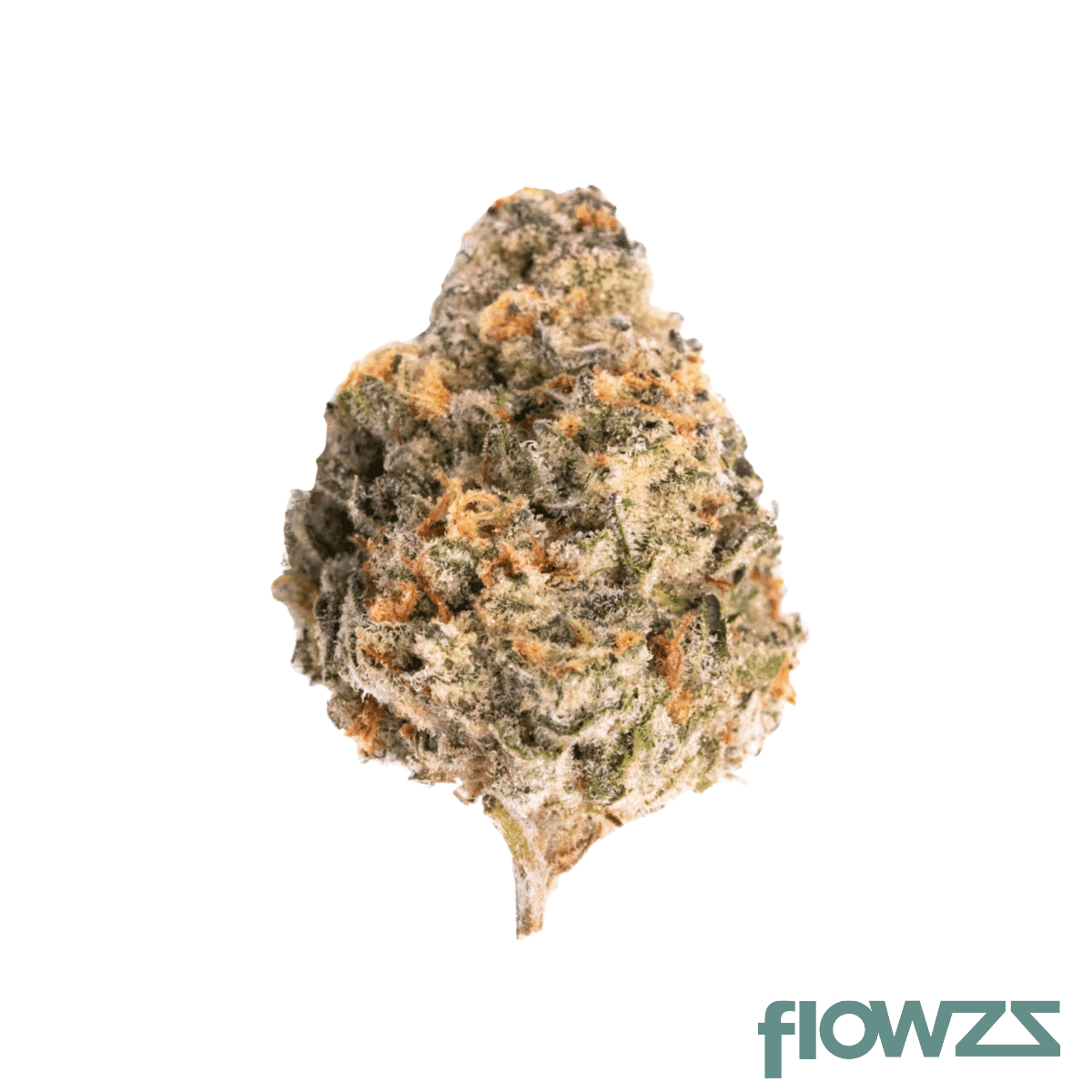 demecan-core-gmob-33-01-garlic-breath
