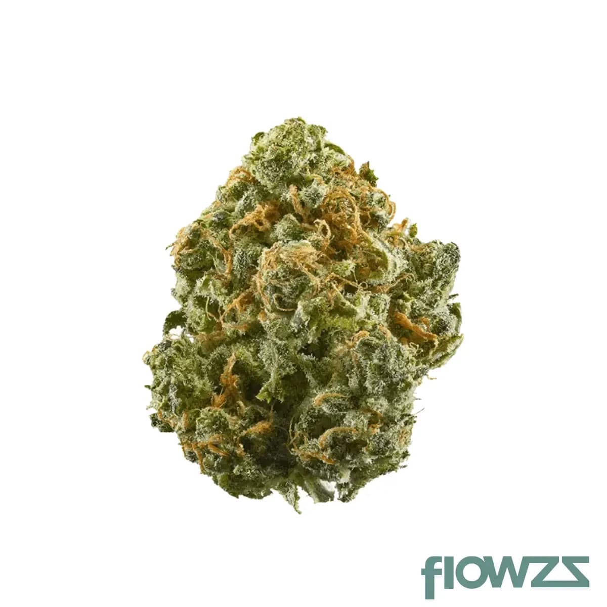 all-nations-sf-18-1-mandarin-cookies
