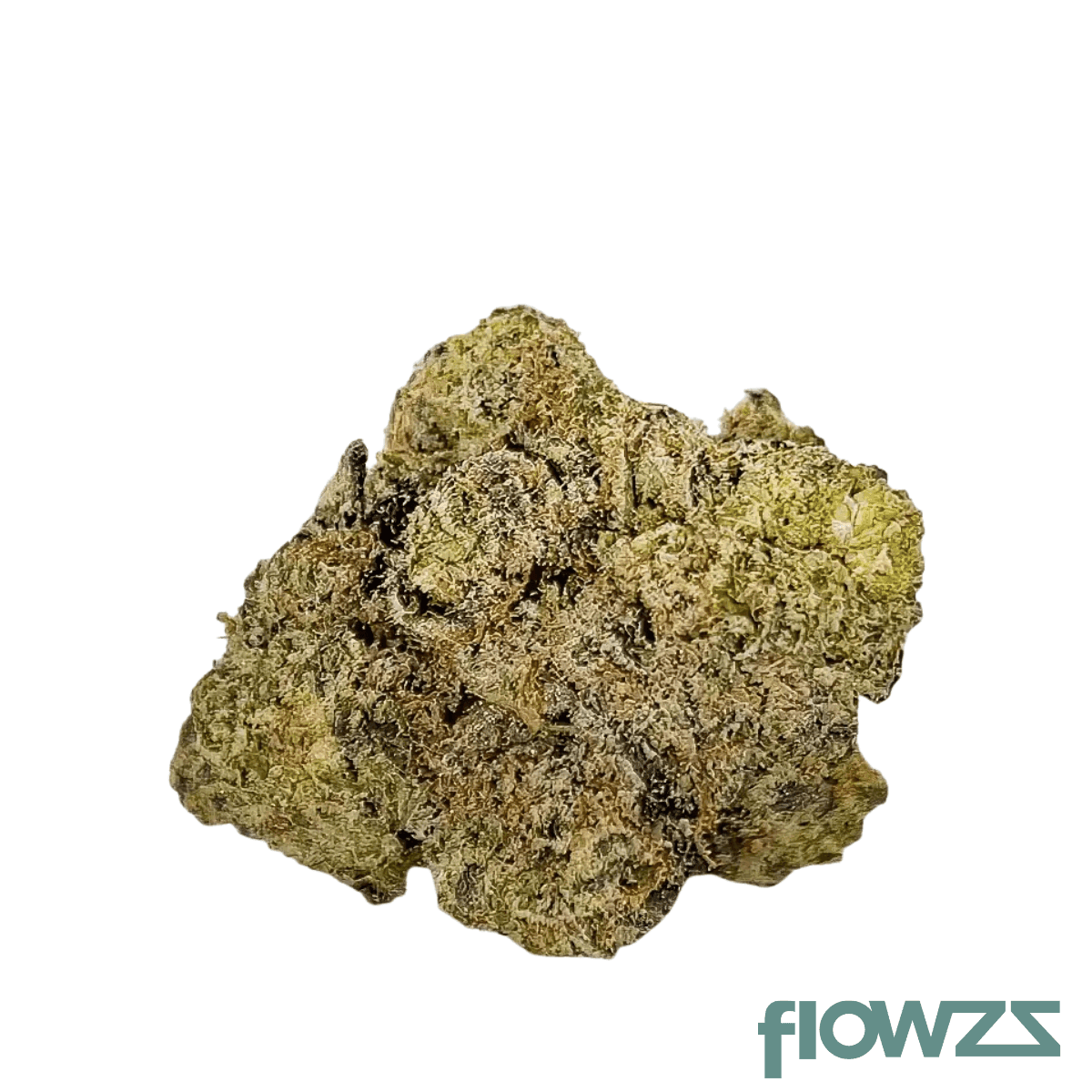 barongo-28-1-dr-el-jefe