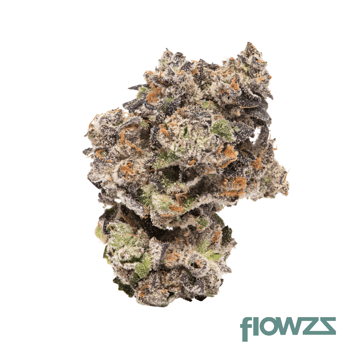 cookies-22-1-hawaiian-rain