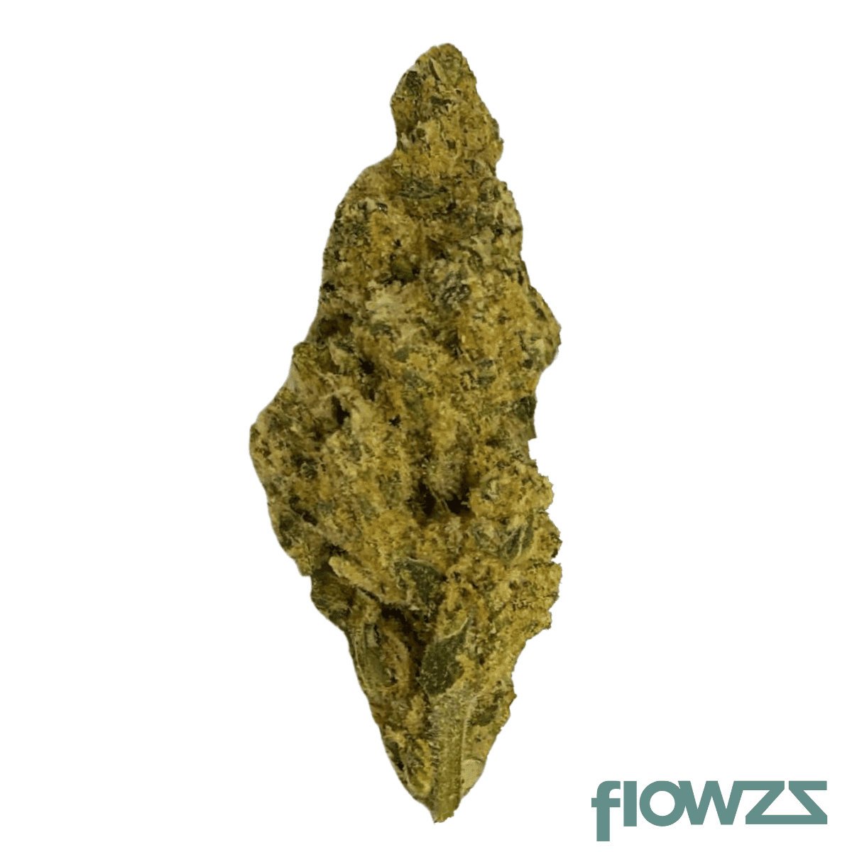 lit-31-1-snw-snow-lotus