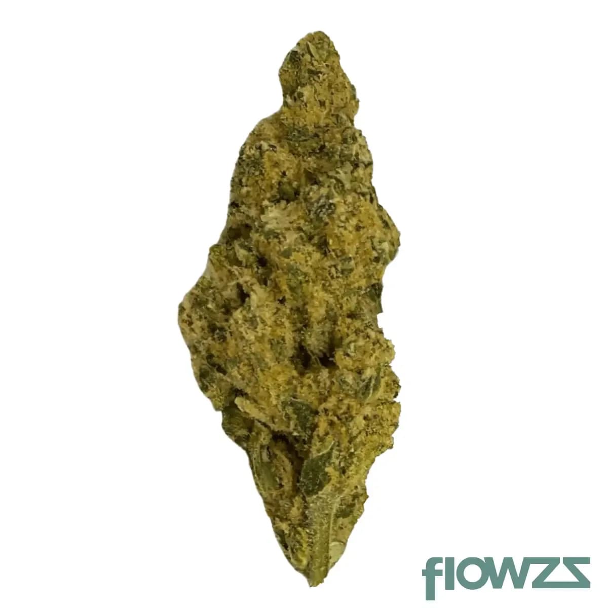 lit-29-1-snw-snow-lotus