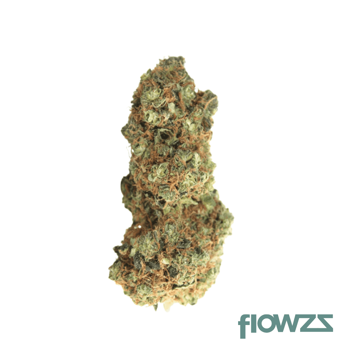 medicus-24-1-yar-rnd-razzle-n-dazzle