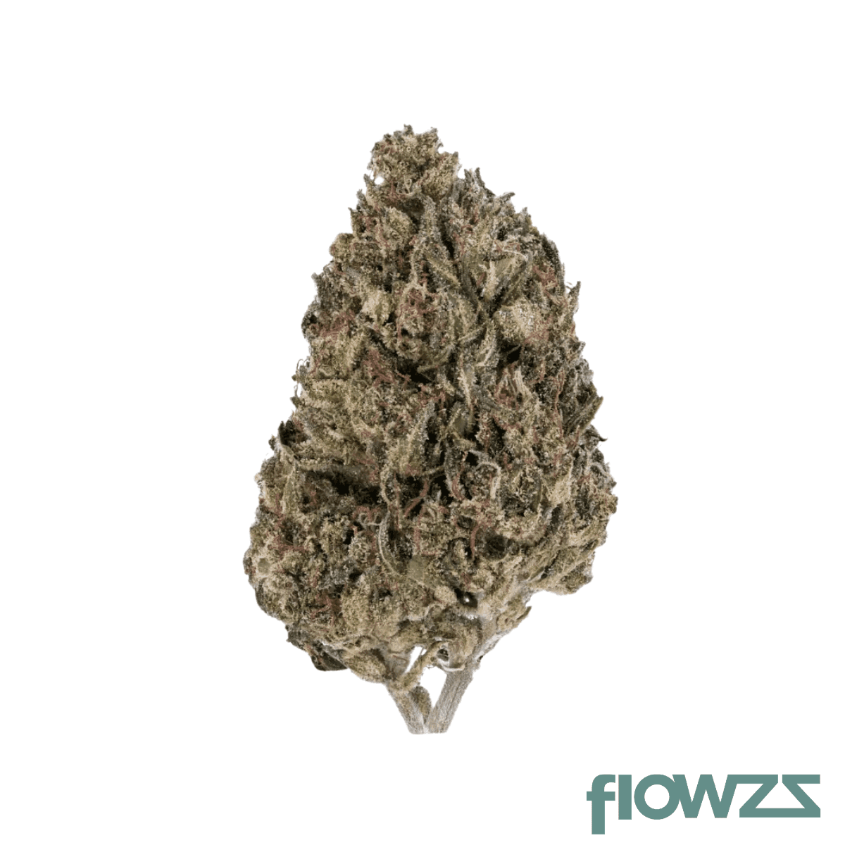 bc-green-30-1-pg-pink-grapes