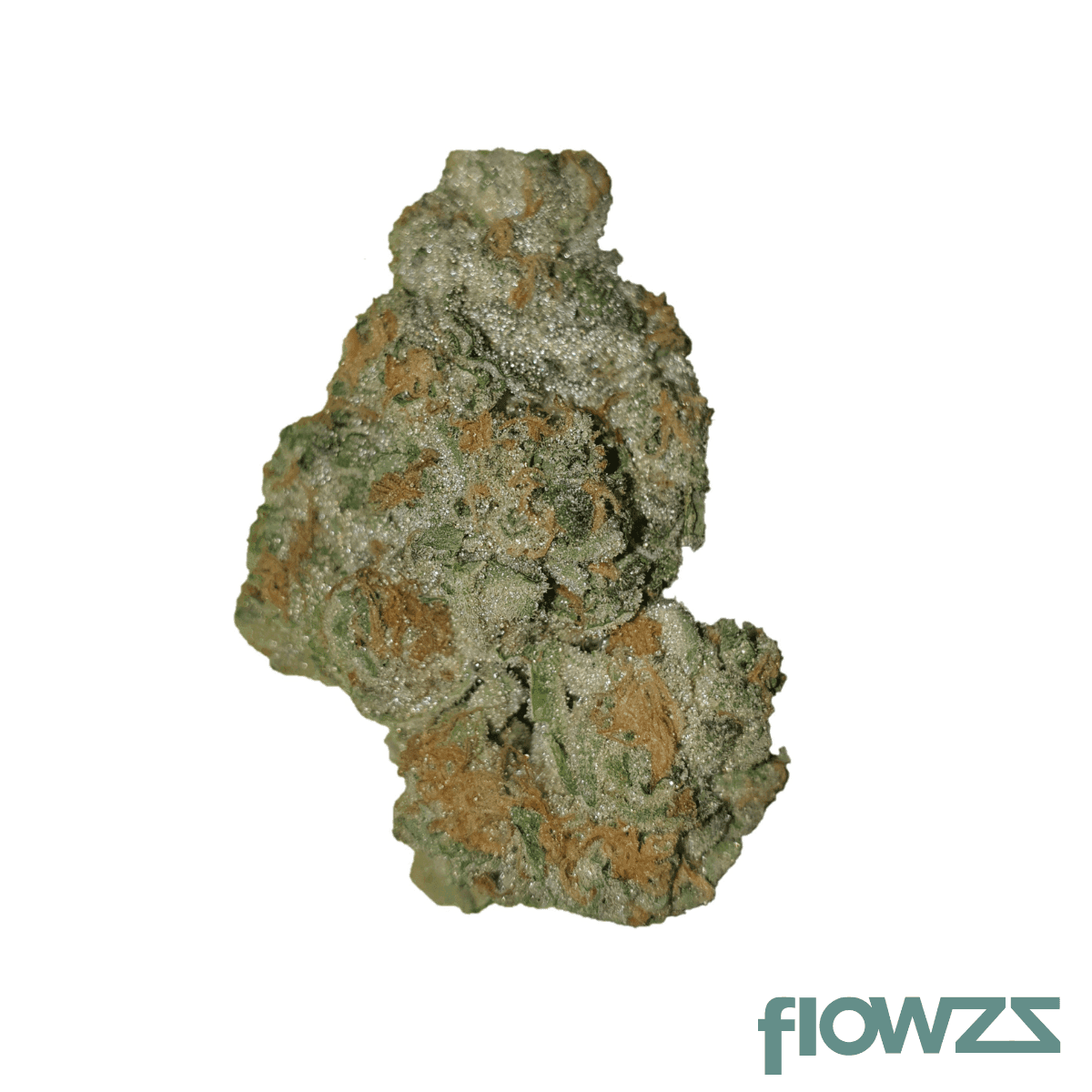 nedcann-kiku-25-01-nori-cake