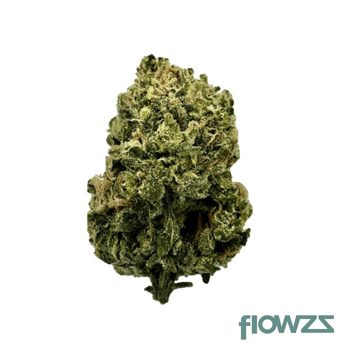 avaay-26-1-dz-don-zour