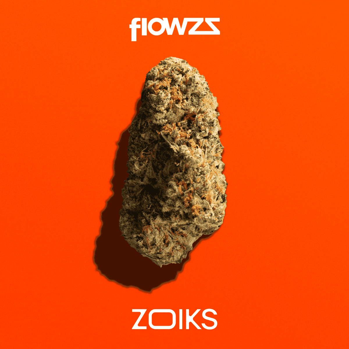 zoiks-26-1-tg-tangrini