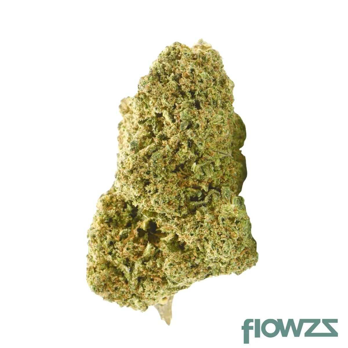 nice-26-1-ge-gelatti