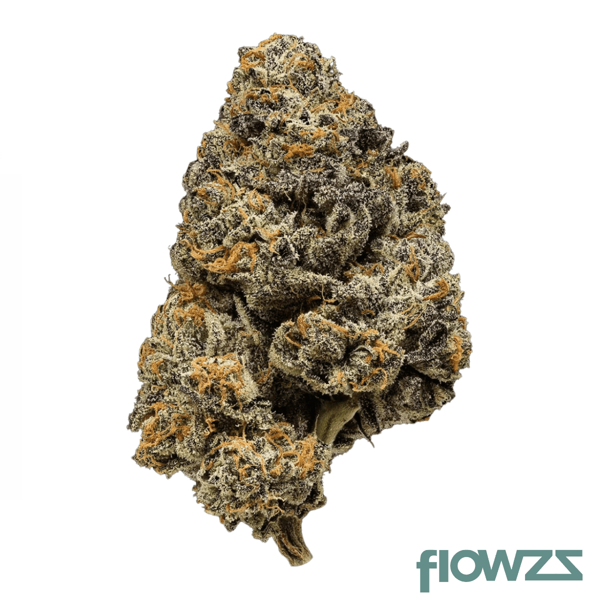 crqsh-bntz-30-1-banana-runtz