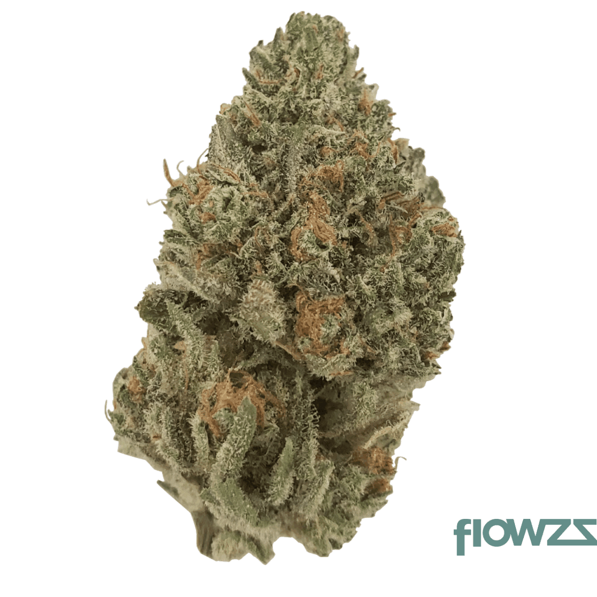 nice-15-1-lb-la-bomba